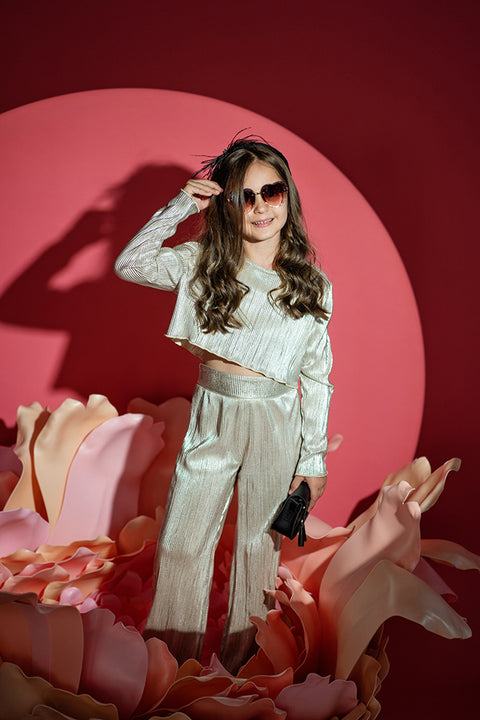 Silver Pleated Trousers Панталон от солей в сребристо