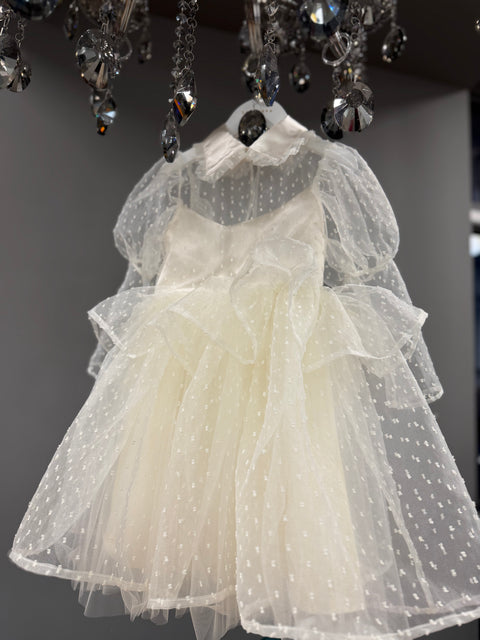 Snowdot Organza Dress