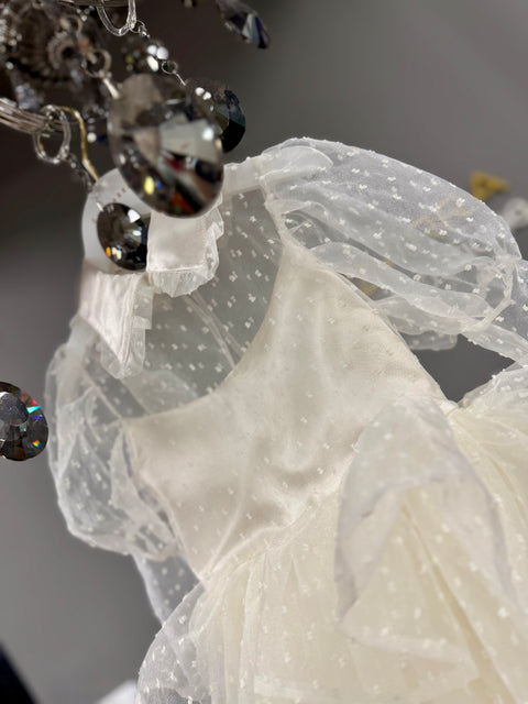 Snowdot Organza Dress