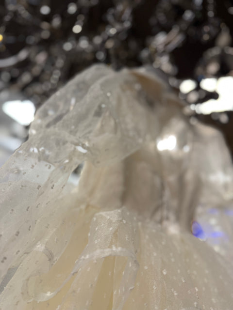 Snowdot Organza Dress