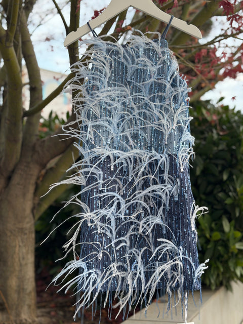 Blue Feather Spark Рокля