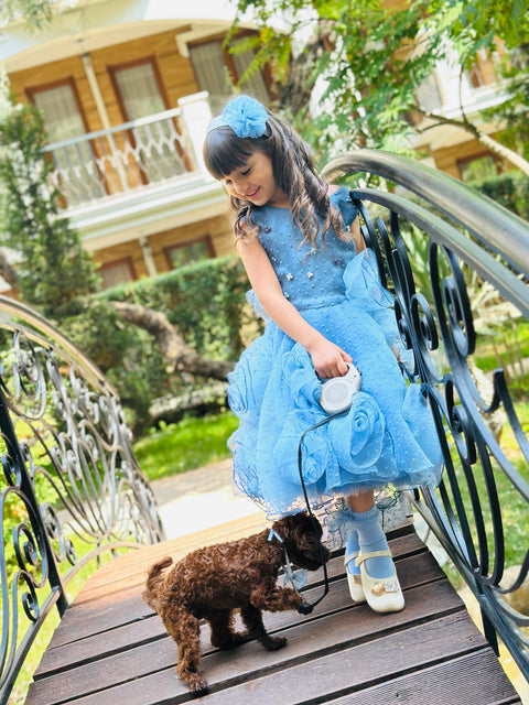 Blue Rose Fantasy Φόρεμα από μπλε οργάντζα με 3D λουλούδια