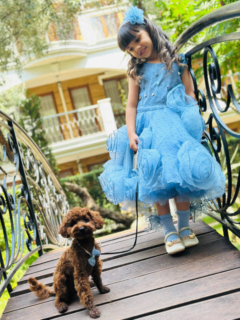 Blue Rose Fantasy Φόρεμα από μπλε οργάντζα με 3D λουλούδια