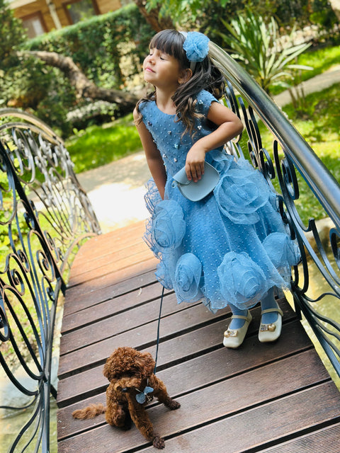 Blue Rose Fantasy Φόρεμα από μπλε οργάντζα με 3D λουλούδια