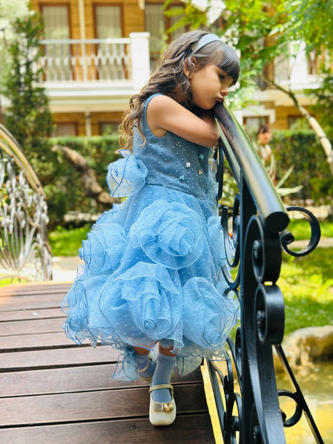 Blue Rose Fantasy Φόρεμα από μπλε οργάντζα με 3D λουλούδια