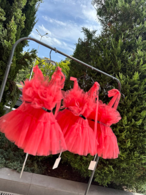 Ballerina Girl Dress