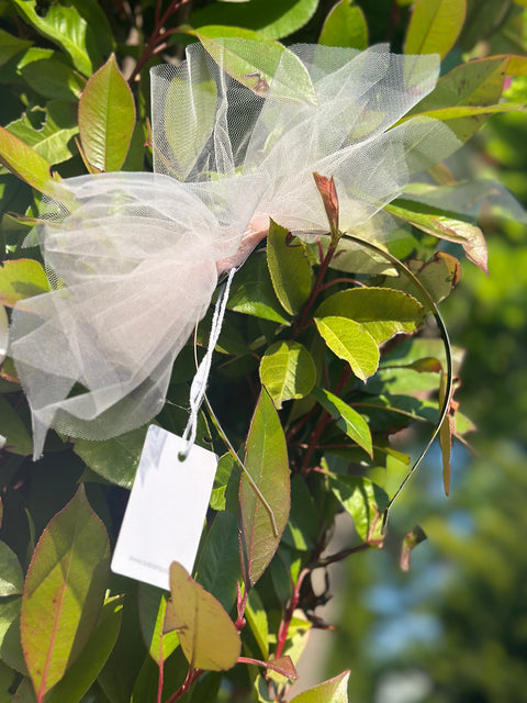 ACCESSORIES SIZE TEMPLATE