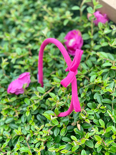 Fuchsia Bloom Диадема в циклама