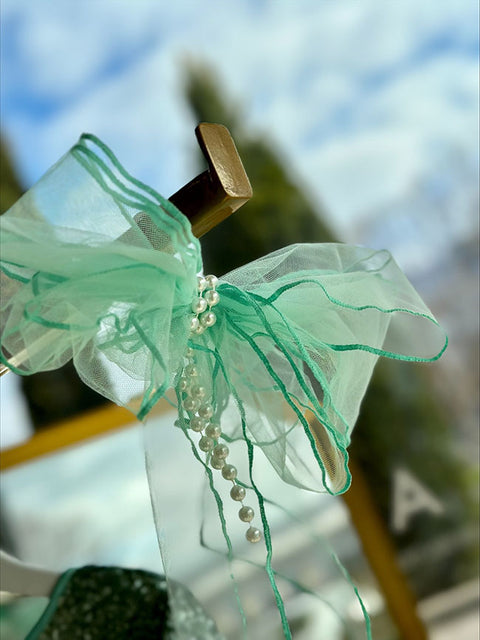 Meraly Green sequin and feather dress