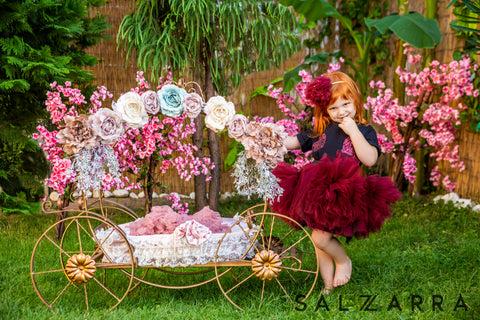 Burgundy tulle skirt