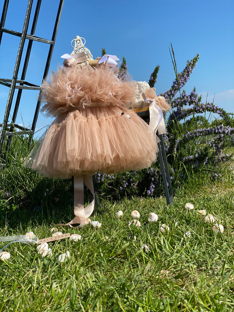 Étoile Nude Tulle dress in nude