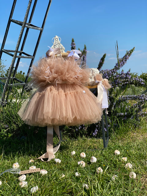 Étoile Nude Tulle dress in nude