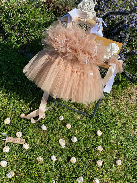 Étoile Nude Tulle dress in nude