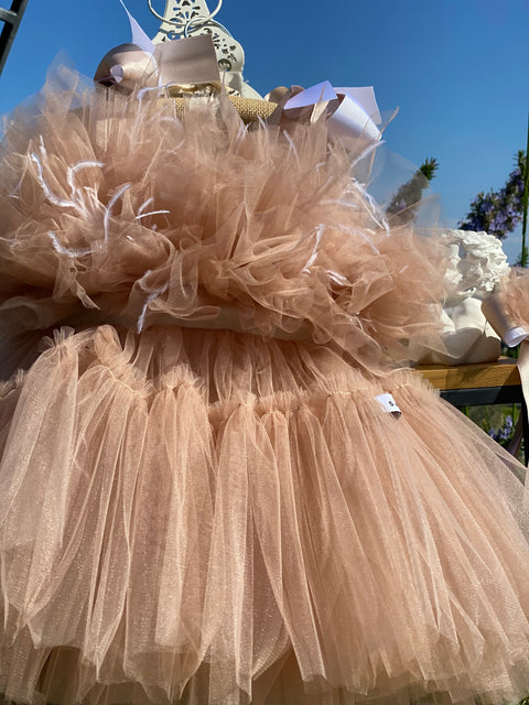 Étoile Nude Tulle dress in nude