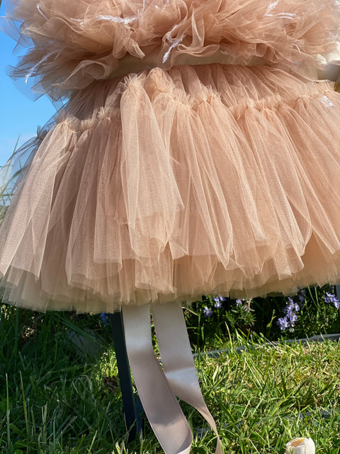 Étoile Nude Tulle dress in nude