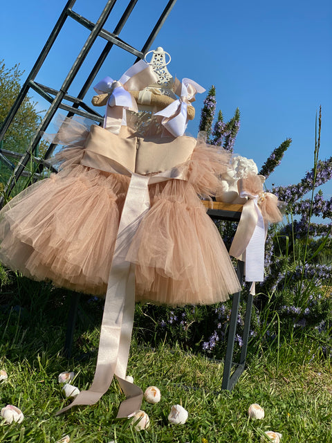 Étoile Nude Tulle dress in nude