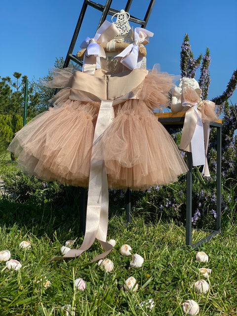 Étoile Nude Tulle dress in nude