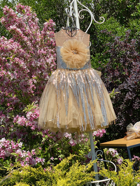 Golden Starlight – Tulle and Sequin Dress
