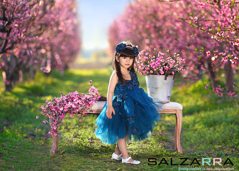 Selinna Аксесоар за коса - диадема