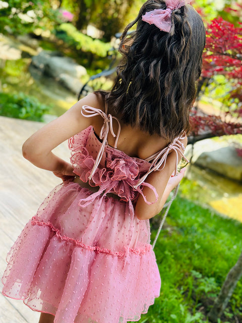 Rose Mist Οργαντζένιο τοπ σε ροζ της στάχτης