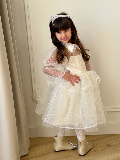 Snowdot Organza Dress