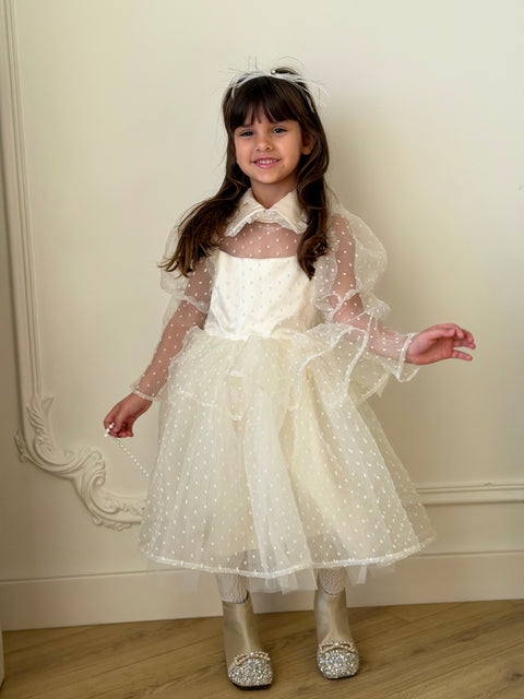 Snowdot Organza Dress