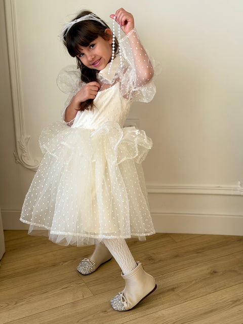 Snowdot Organza Dress