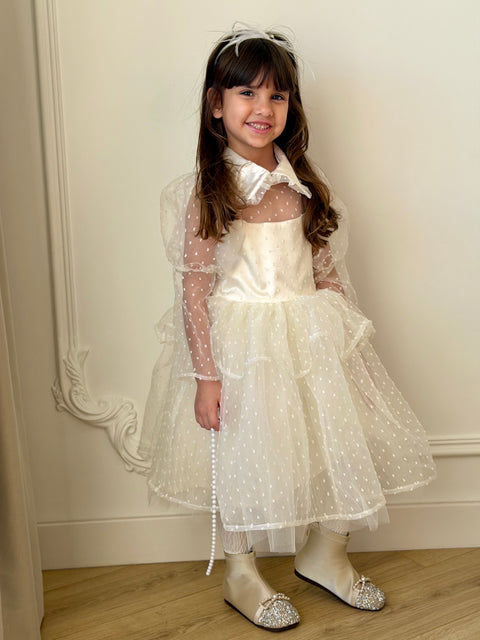 Snowdot Organza Dress