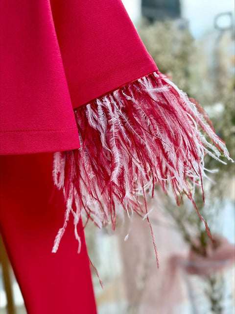 Sweet Watermelon Feather set