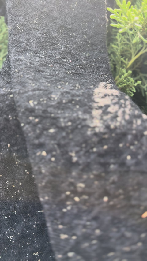 Bimba in black Tights in black