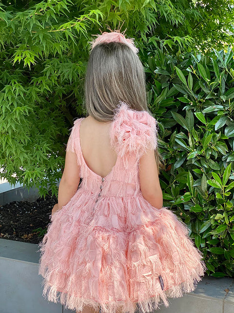 Blush Feather Dream ροζ φόρεμα