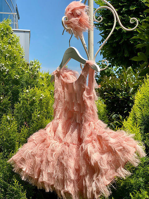 Blush Feather Dream ροζ φόρεμα